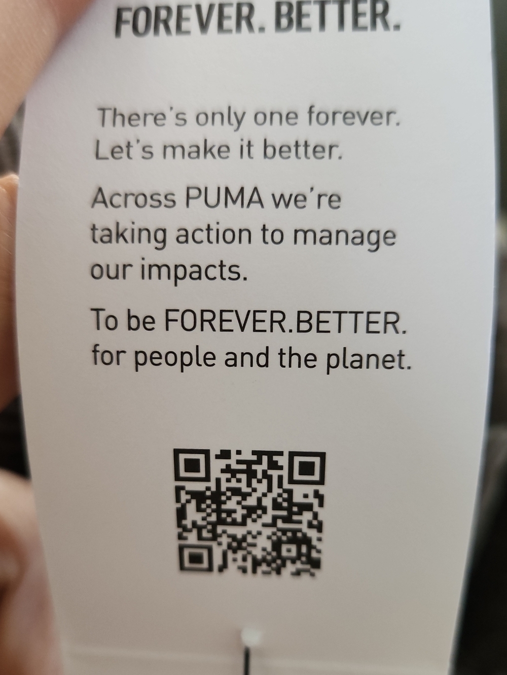 Puma - Picture 11 of 12